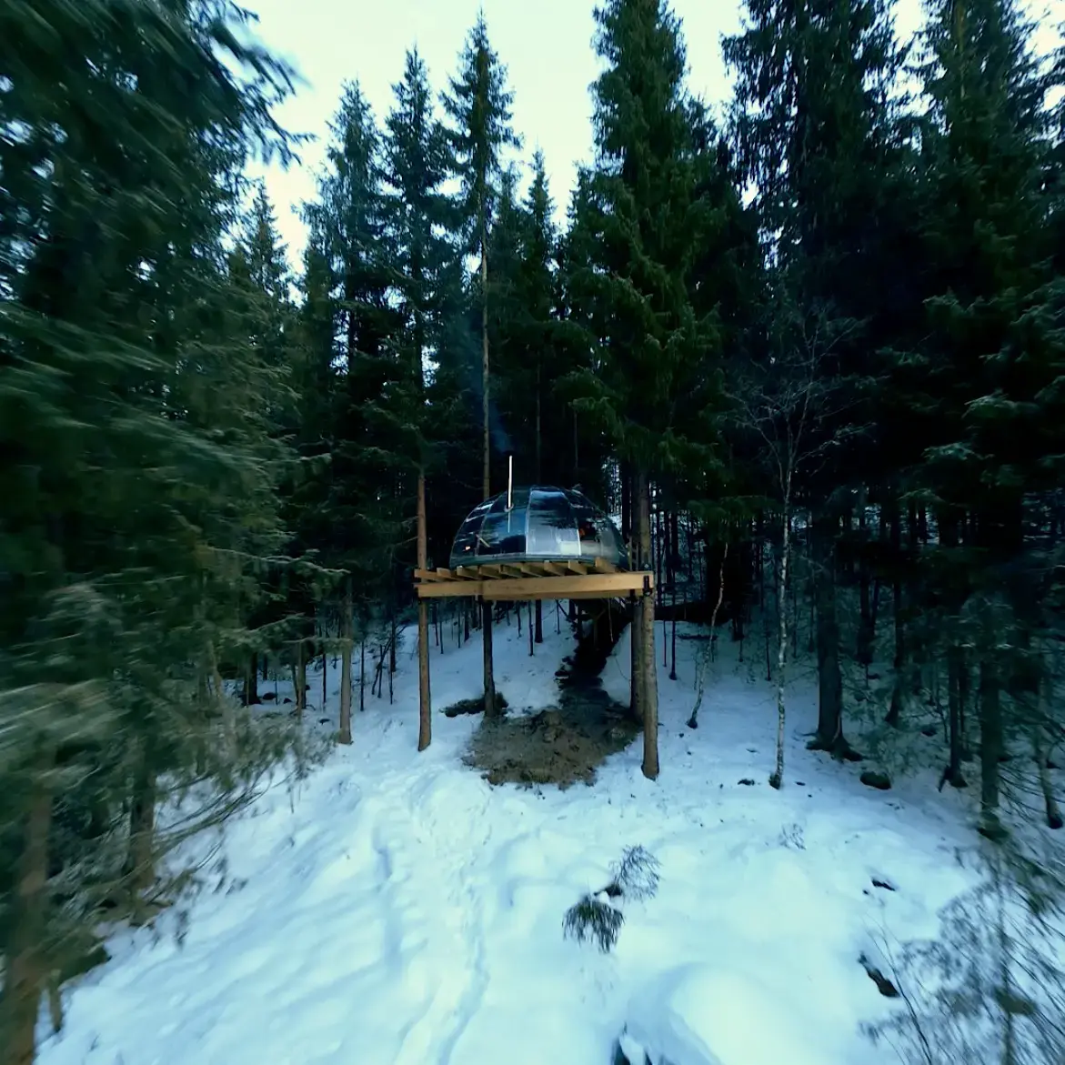 Tretoppiglo ved Lårdalselva