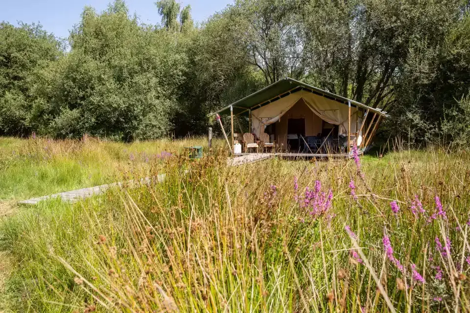 Tente toile & bois toute équippée