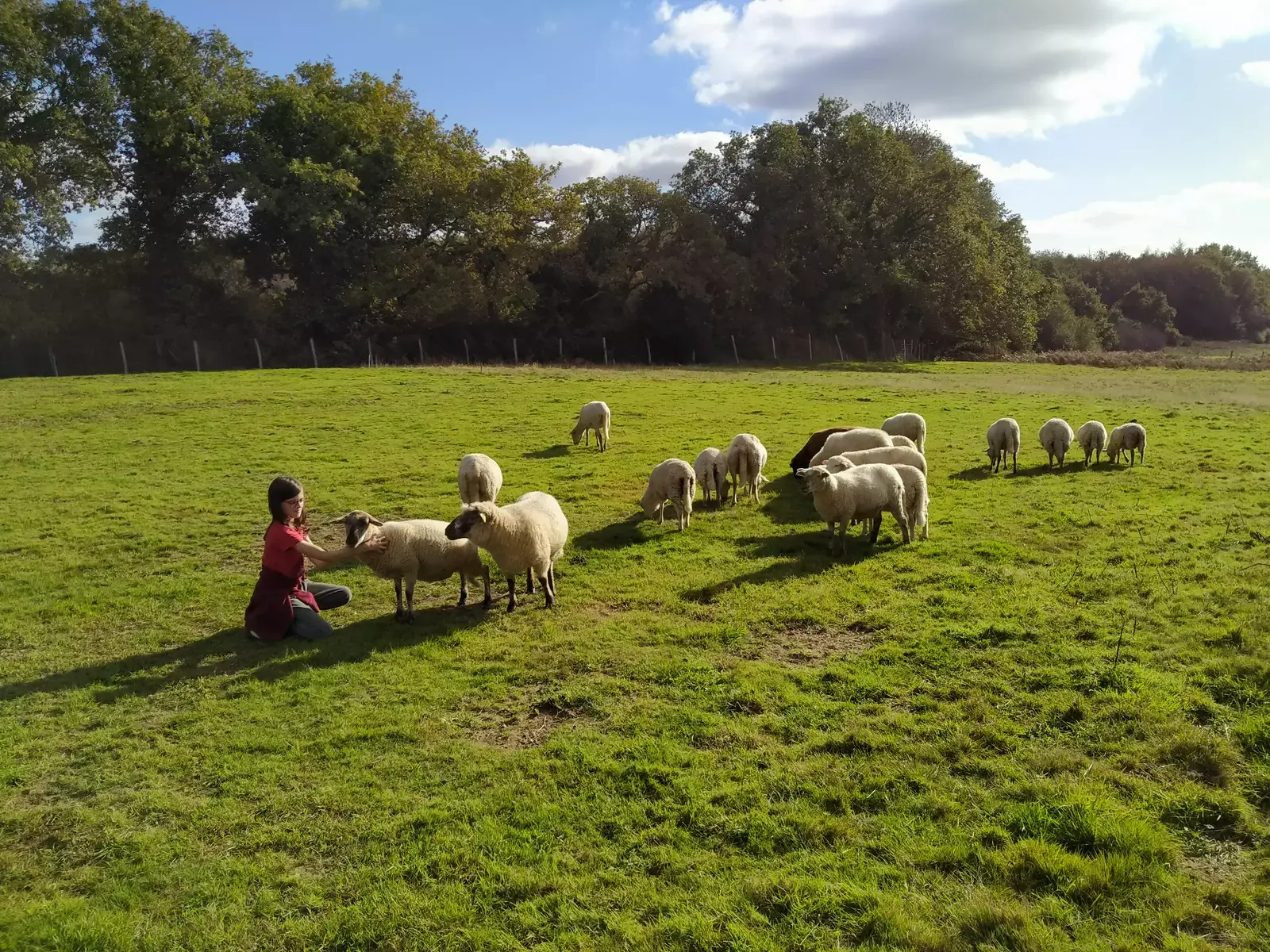 Tente toile & bois toute équippée