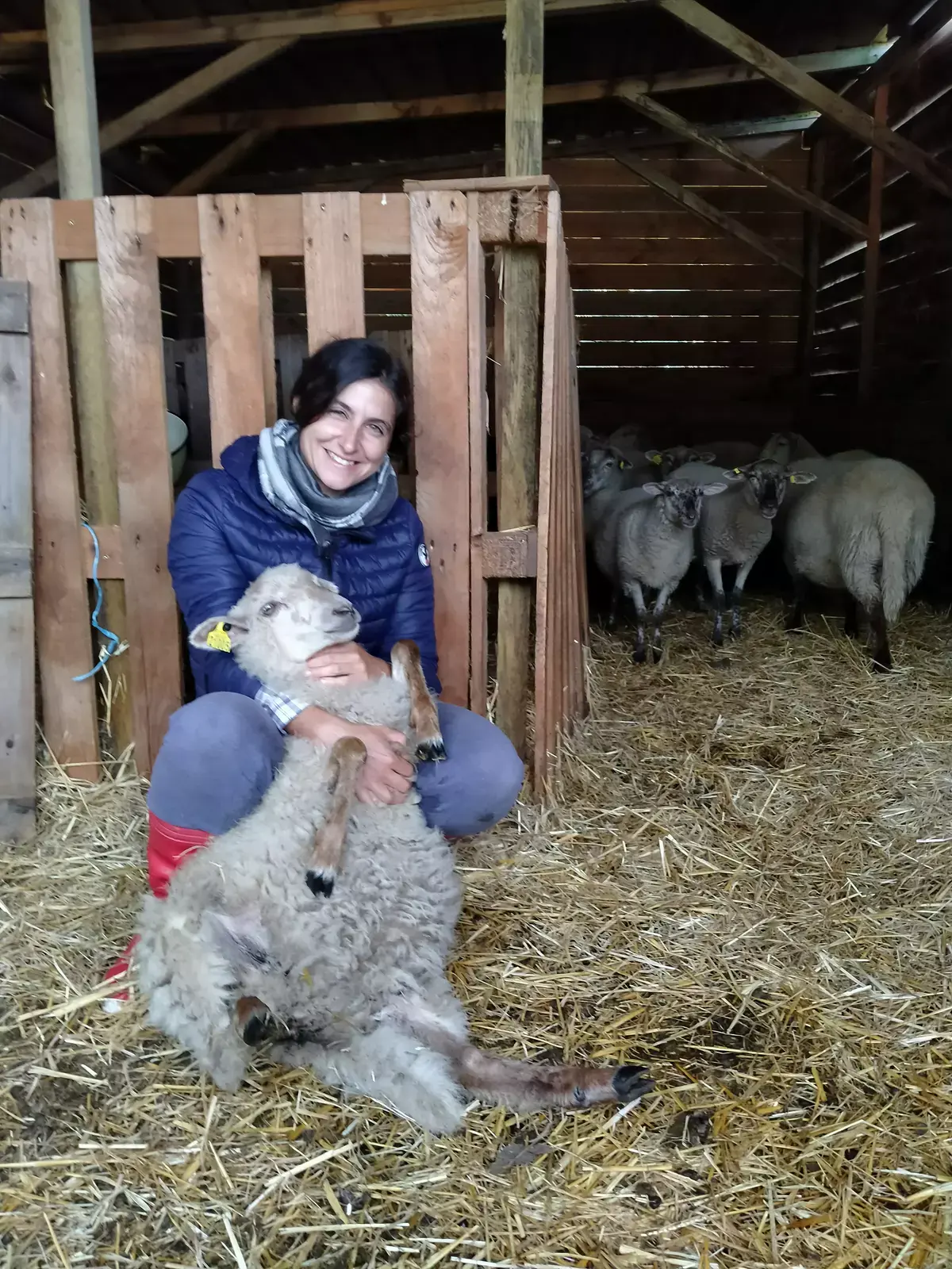 Tente toile & bois toute équippée
