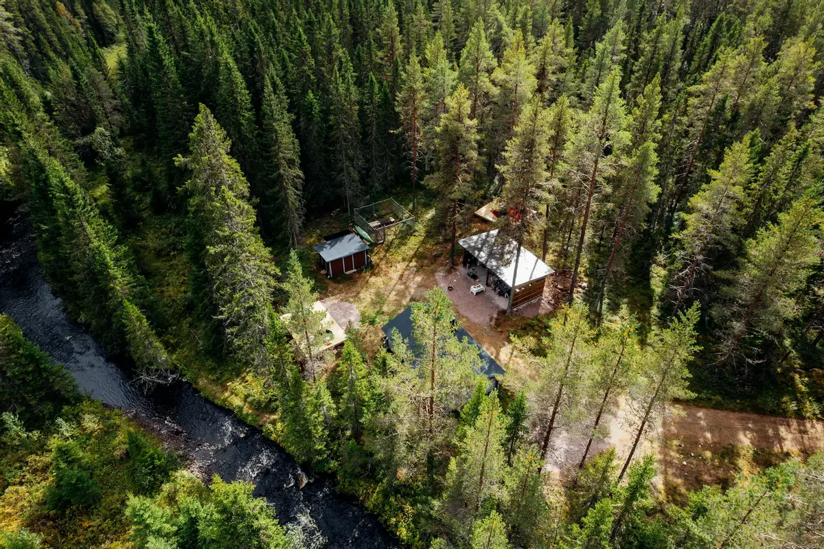 Forest Camp Dalarna