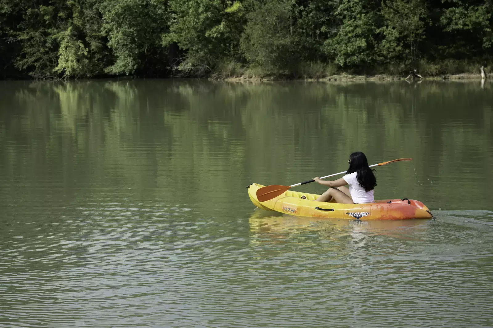 Chalet Guzet 25 avec vue sur le lac