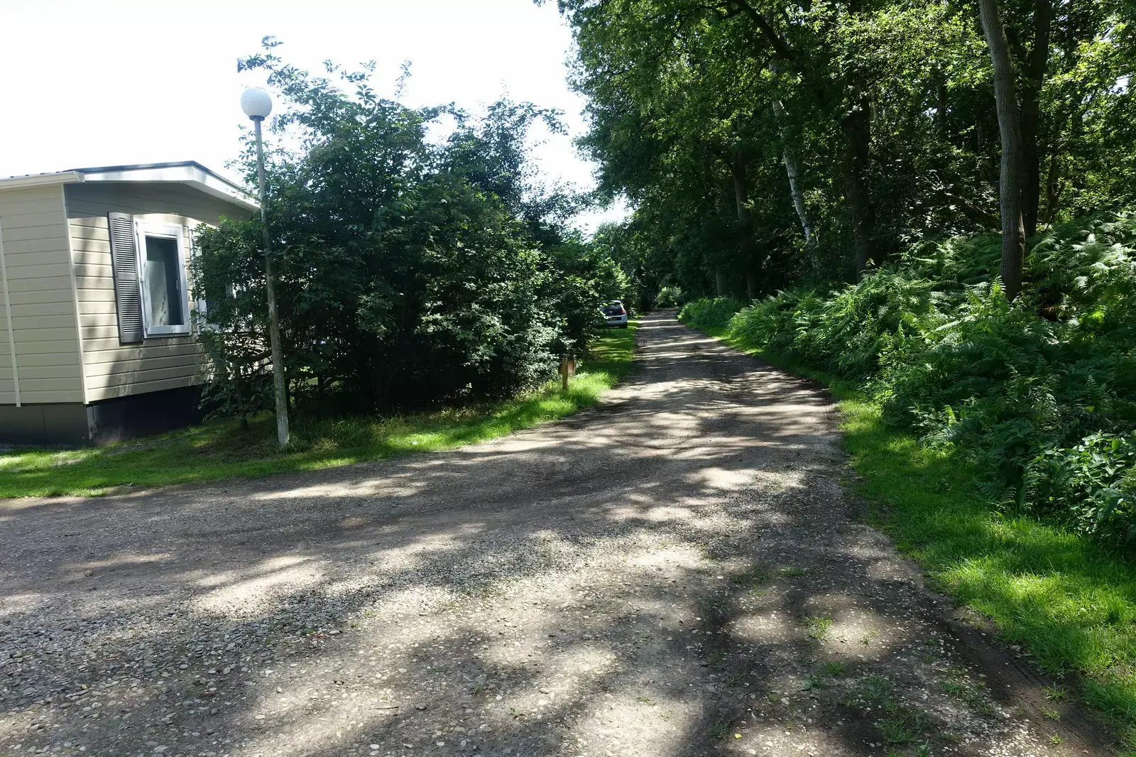 Veldzicht, bij uitstek geschikt voor de natuurliefhebber (Giethmen)