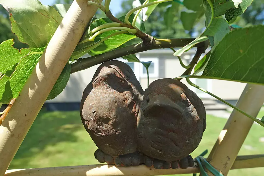Veldzicht, bij uitstek geschikt voor de natuurliefhebber (Giethmen)