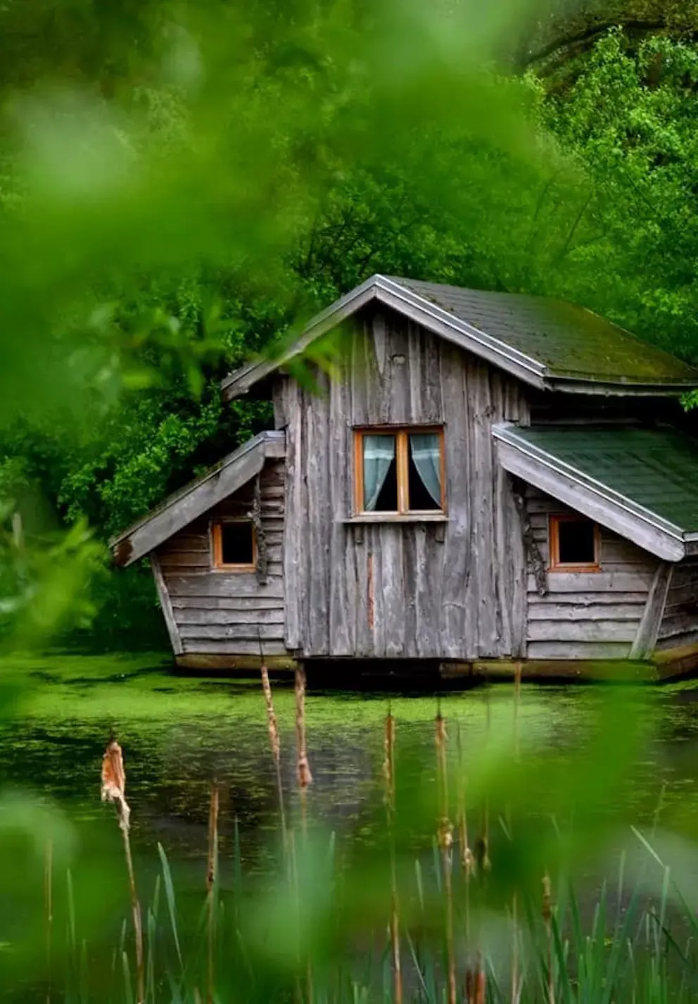 La cabane flottante au coeur des Vosges