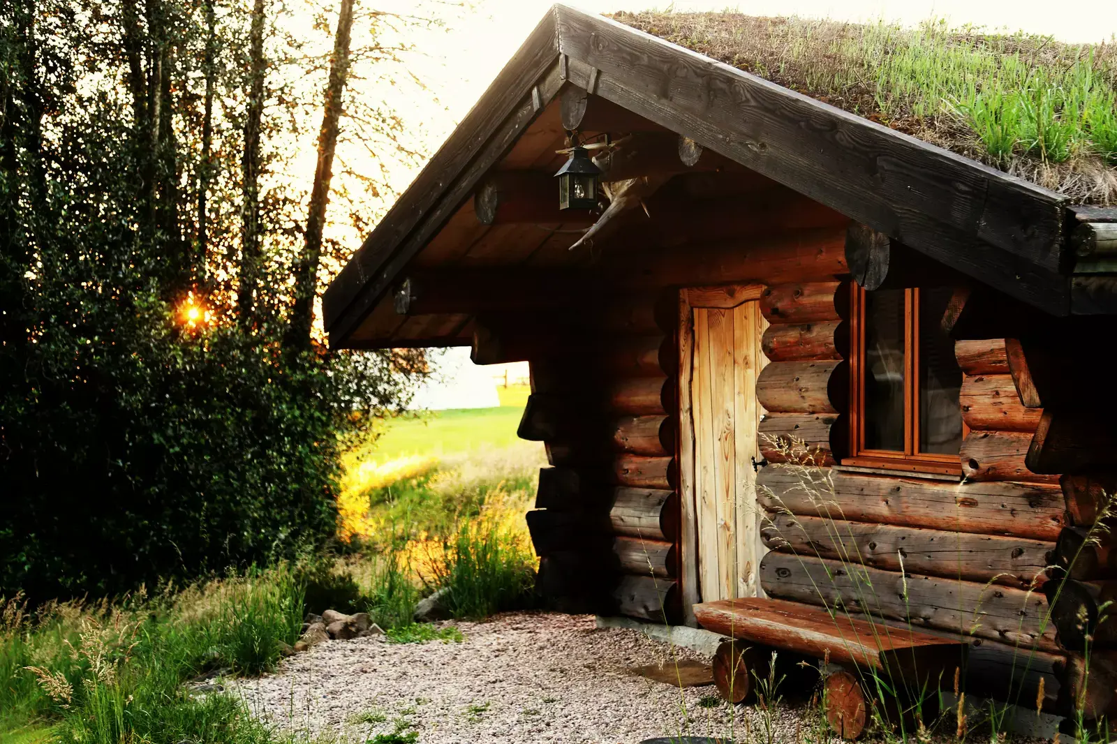 La cabane des oiseaux au coeur des Vosges