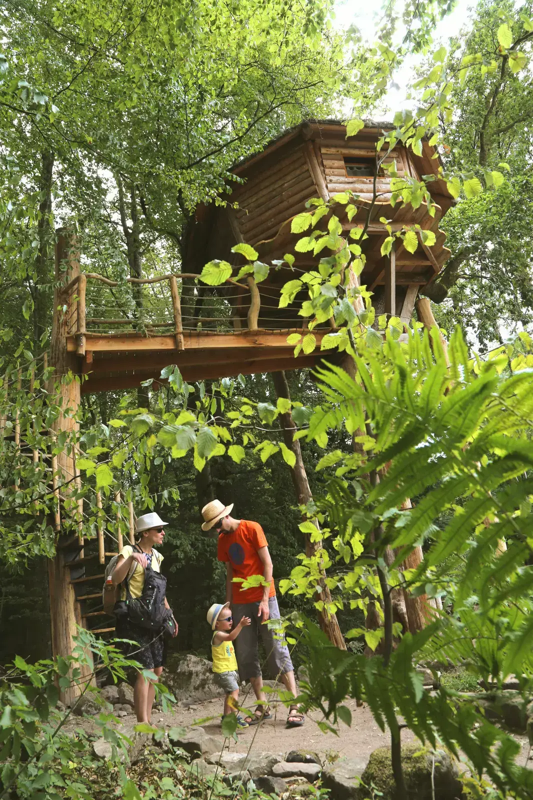 La cabane du barde au coeur des Vosges