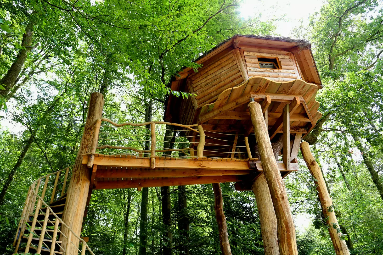 La cabane du barde au coeur des Vosges