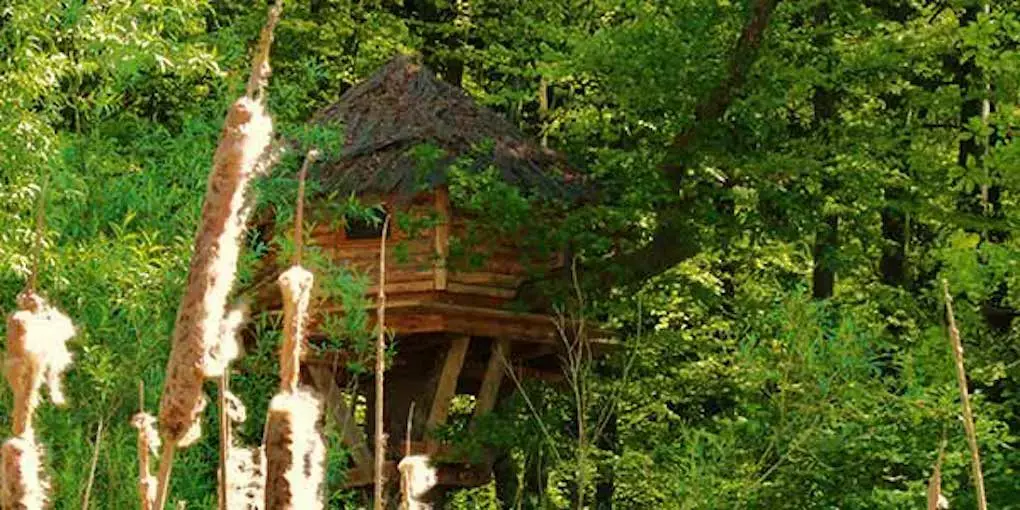 La cabane du barde au coeur des Vosges