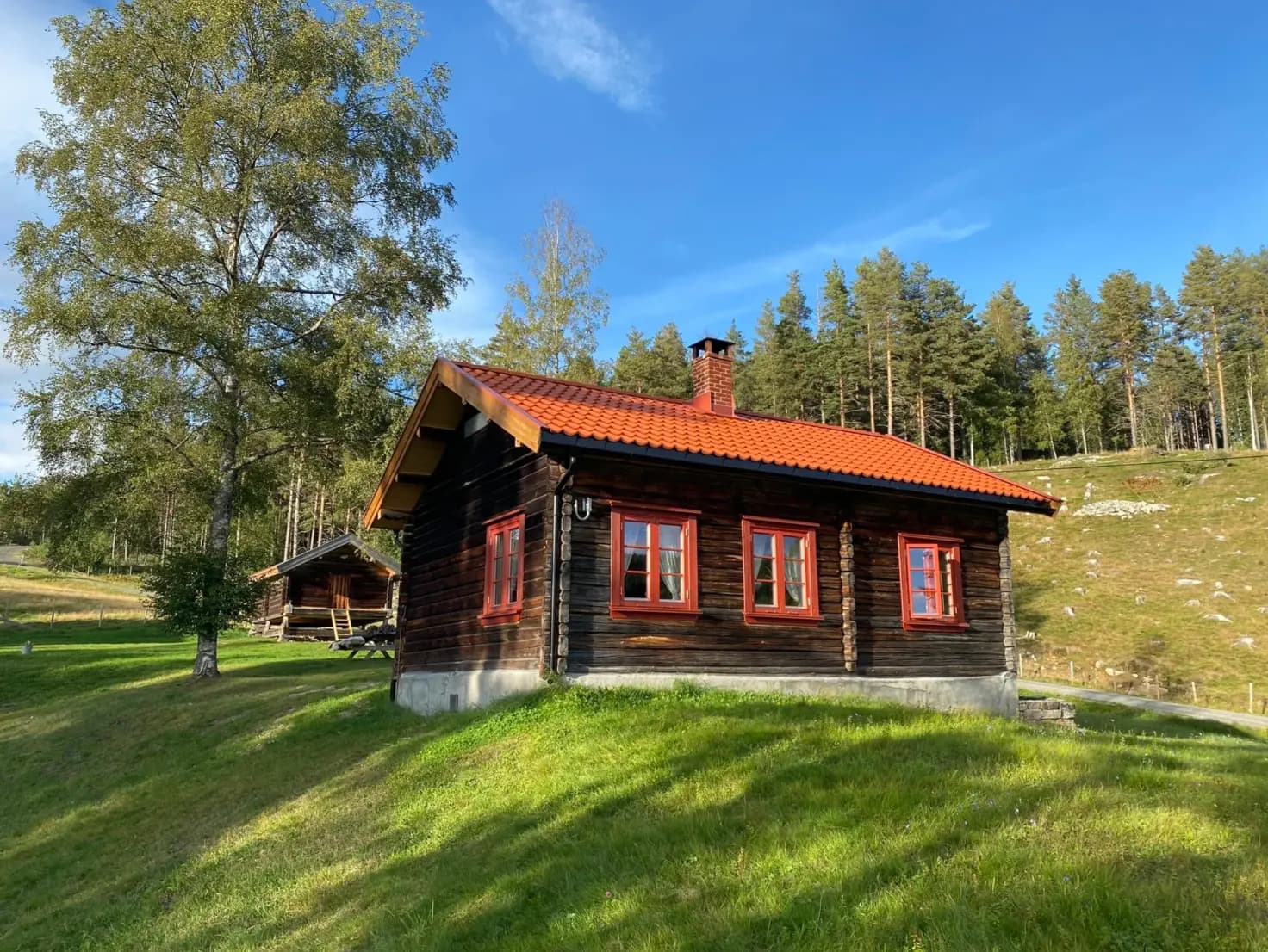 image gallery