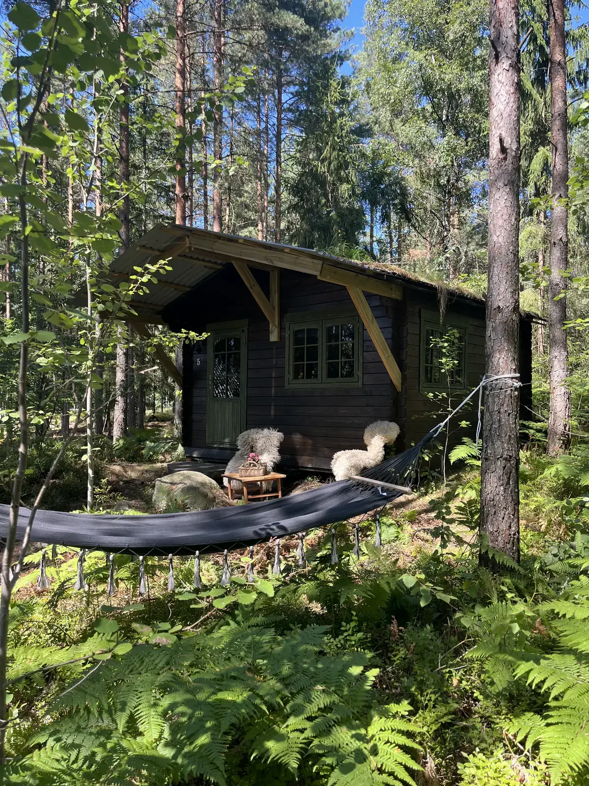 Koselig hytte i skogen 