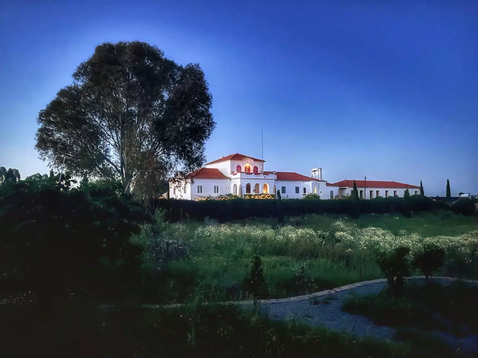 HFR - Wine & "Petiscos"Campers Lounge