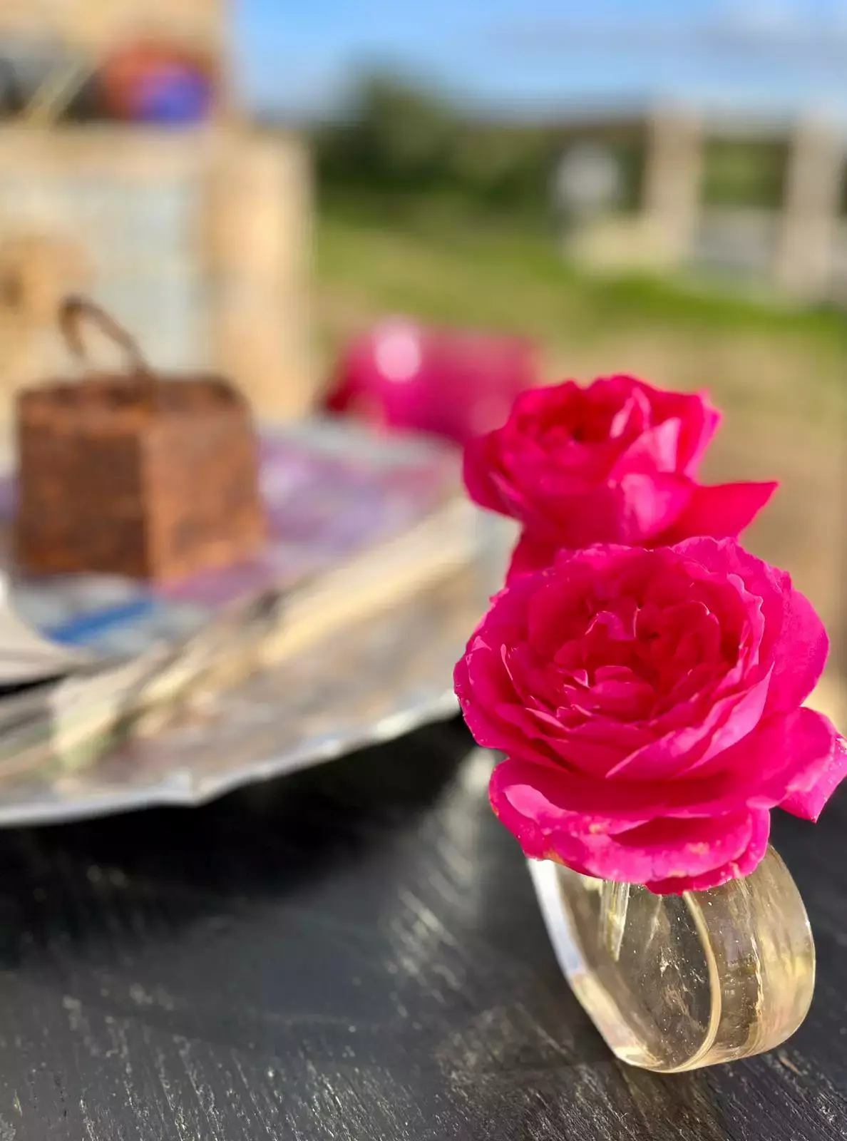 HFR - Wine & "Petiscos"Campers Lounge