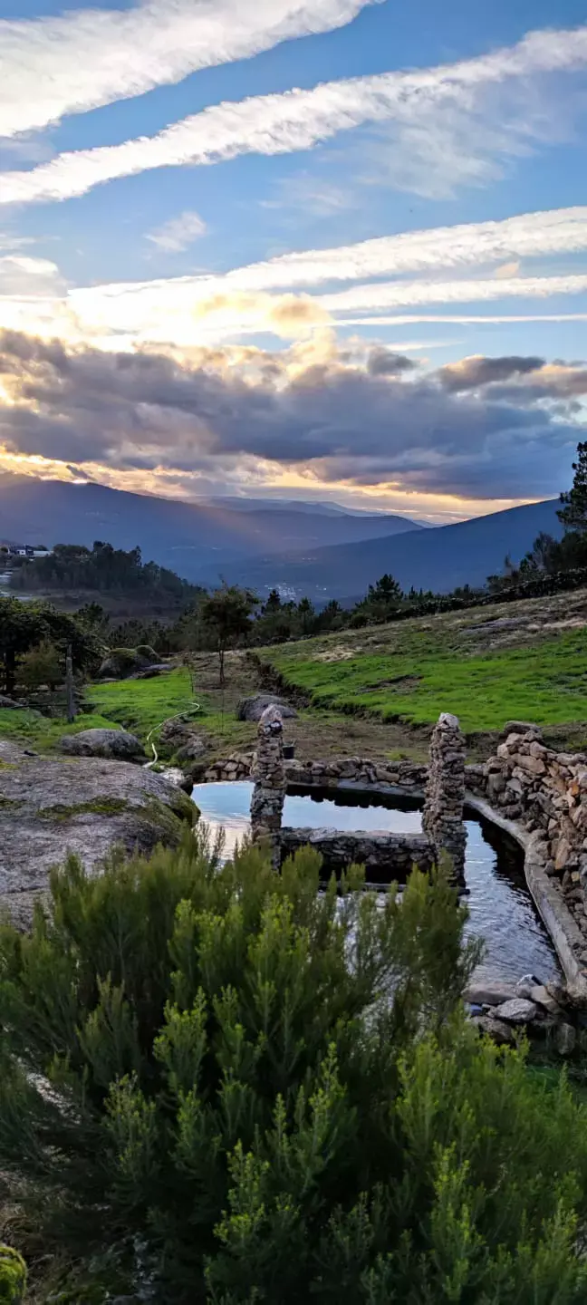 Amplo espaço para a vista da montanha 🏕