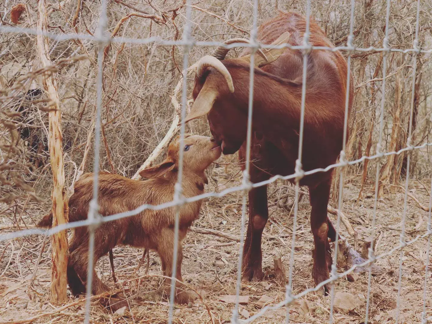 Espacio offgrid bien situado con vistas al mar