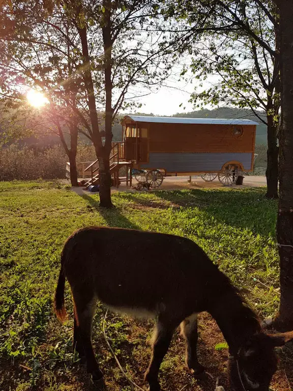 Roulotte 4 personnes