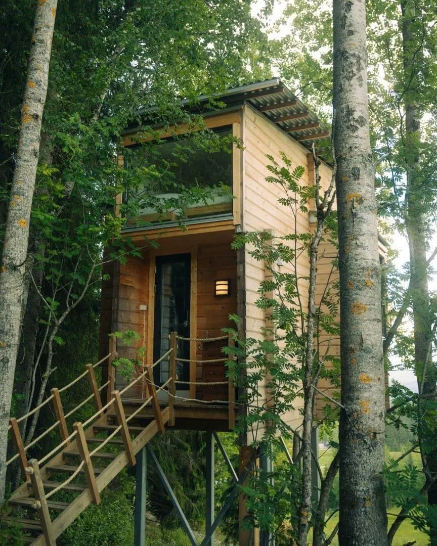 image gallery