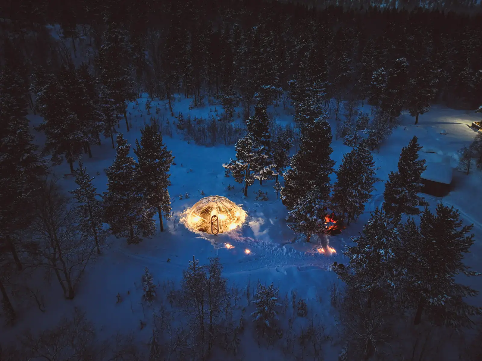 Aurora Dome with Designer Room Included – A Unique Forest Escape