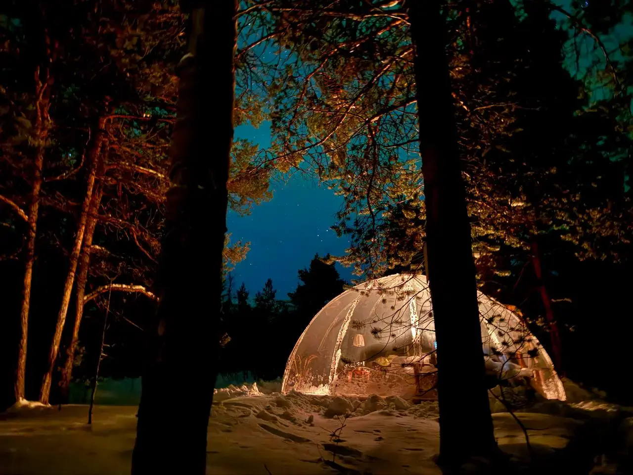 Aurora Dome with Designer Room Included – A Unique Forest Escape