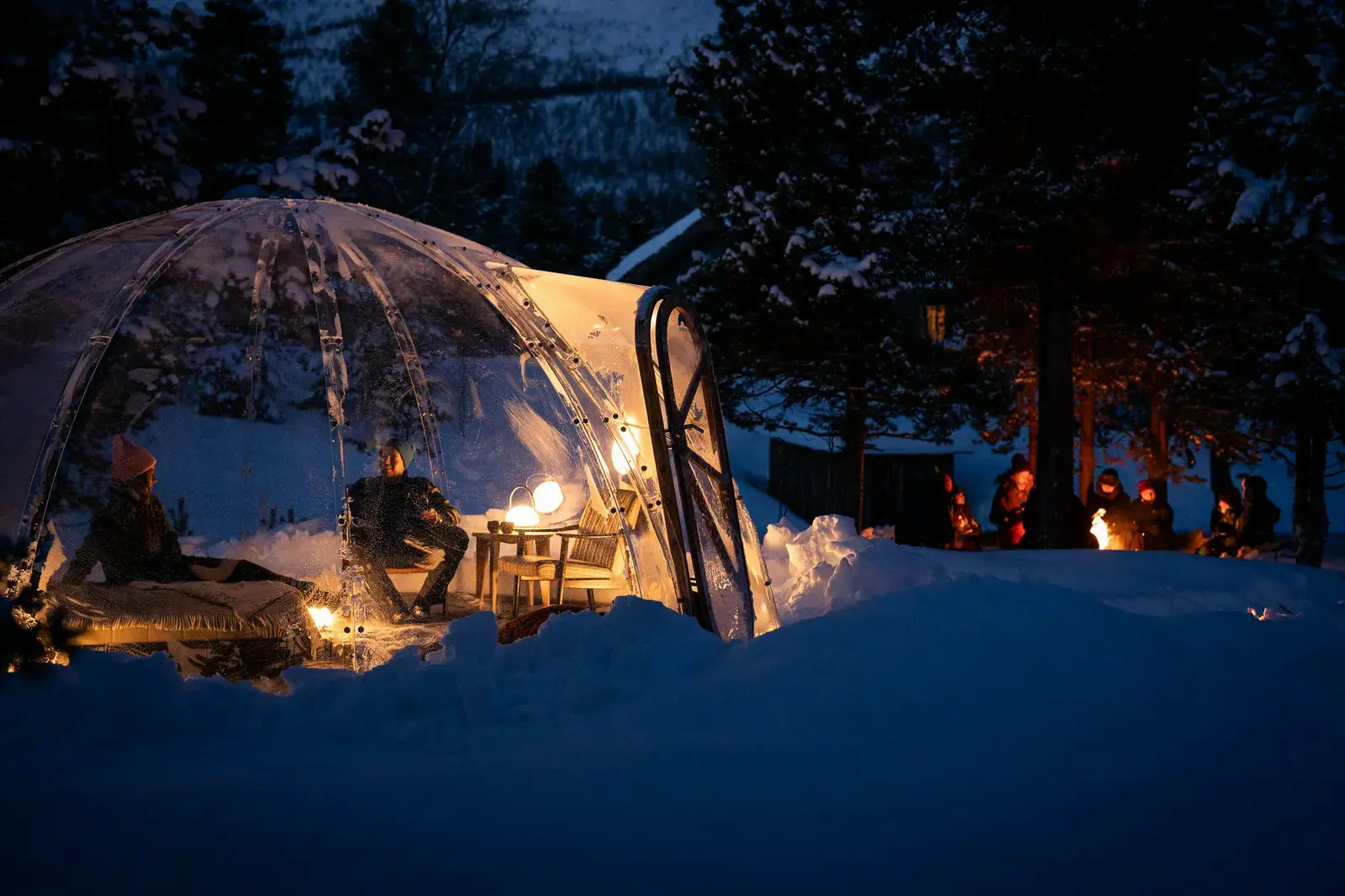 Aurora Dome with Designer Room Included – A Unique Forest Escape