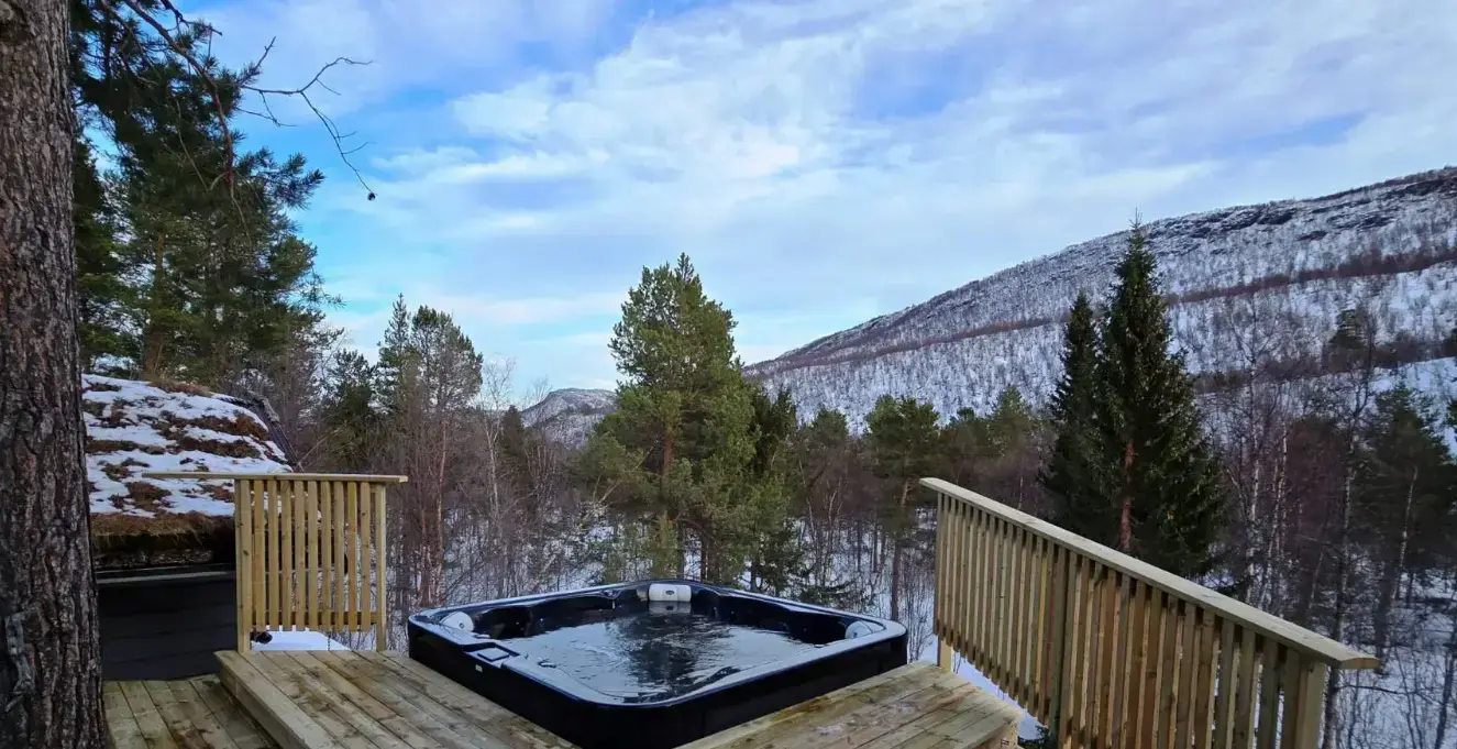 Aurora Dome with Designer Room Included – A Unique Forest Escape