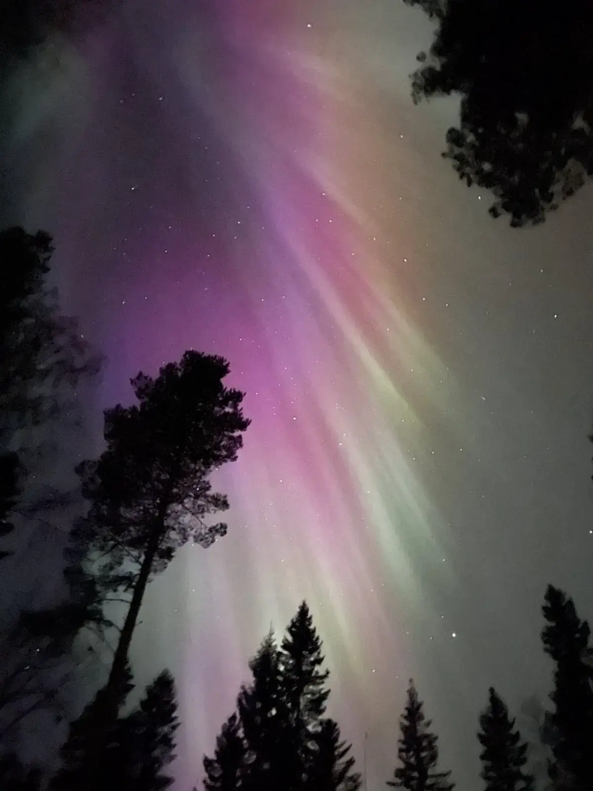 FRISBO LODGE - GLAMPING TENT, LAKE SHORE, indoor fireplace