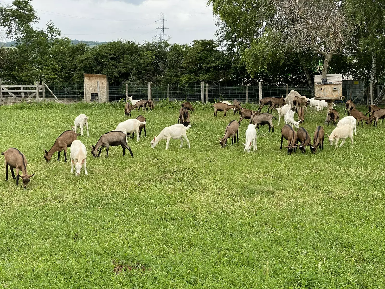 Emplacement camping-car à la ferme