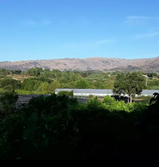 Camping spot with a mountain view