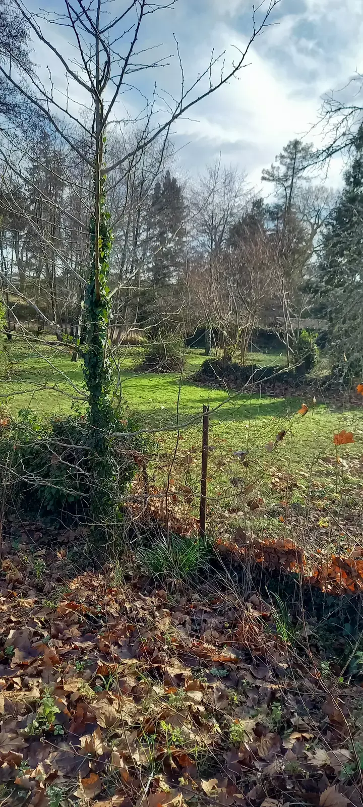 Emplacement au calme