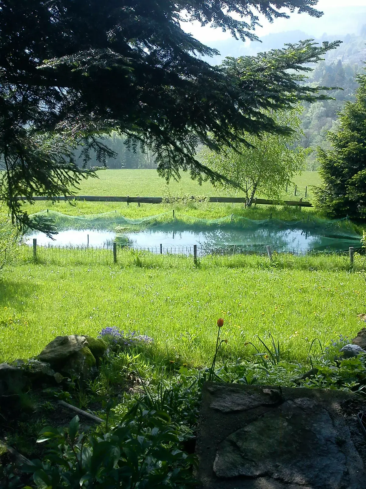 Espace très calme et site protégé, pêche et cueillette.