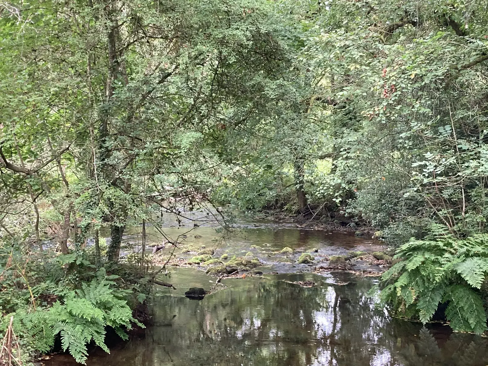 Écrin de verdure au bord de l’eau.