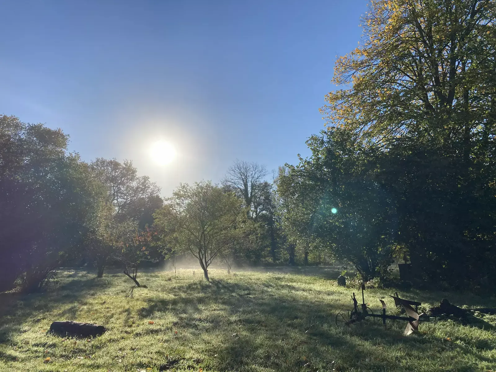 Écrin de verdure au bord de l’eau.