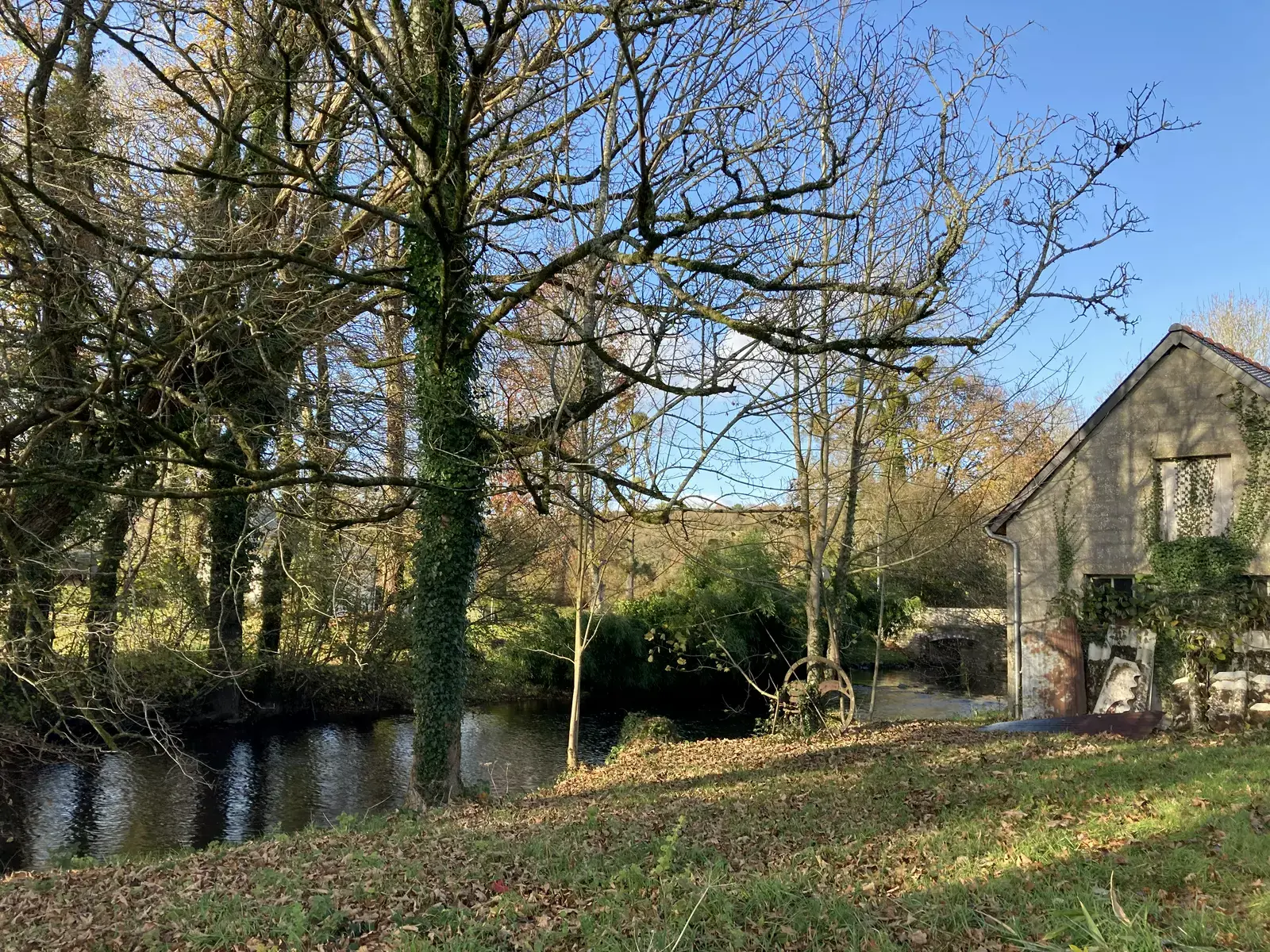 Écrin de verdure au bord de l’eau.