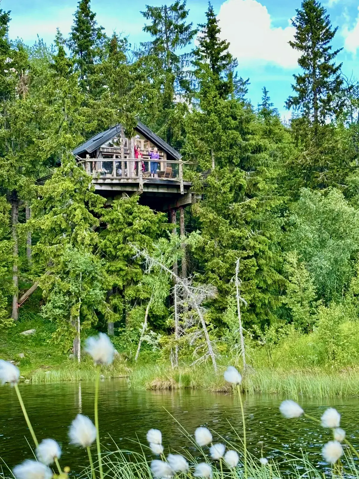 Tree top hut - Bjørk