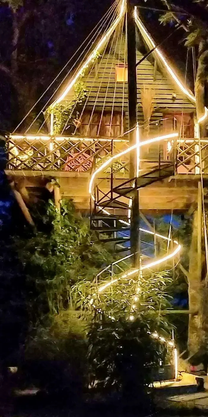 La Cabane Romantique perchée avec les oiseaux