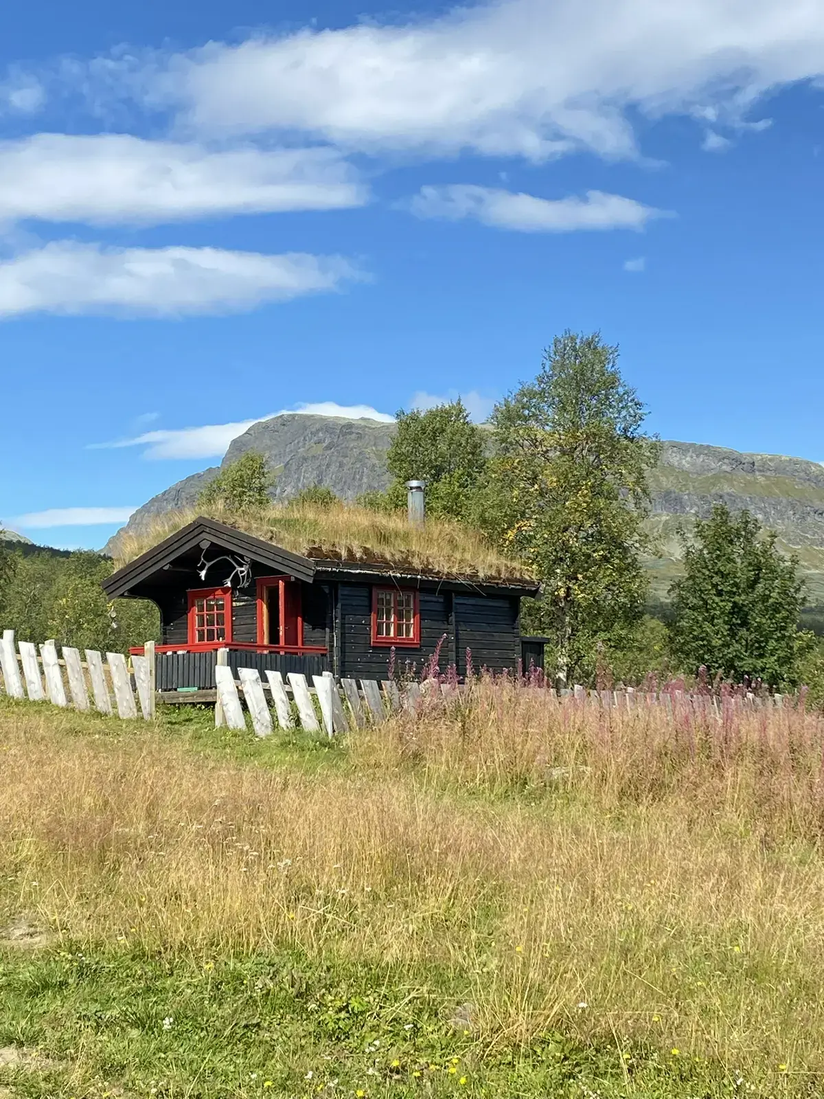 Ellingbø Mountain Farm