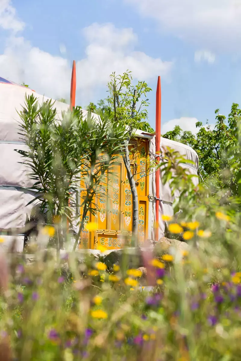 Bajo las estrellas entre cerezos