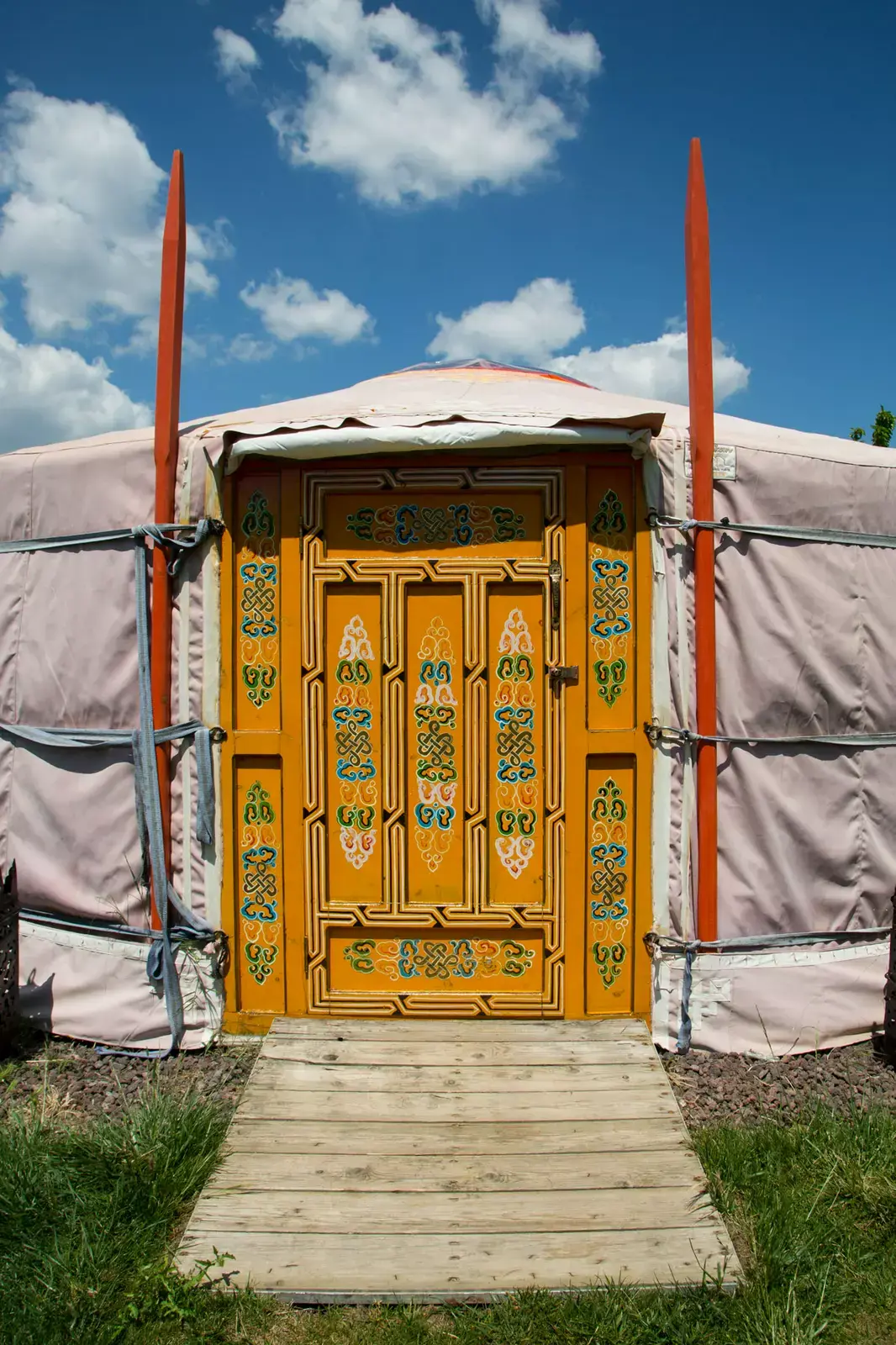 Bajo las estrellas entre cerezos