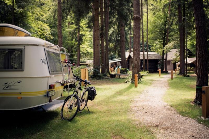 Forest Camping Mozirje