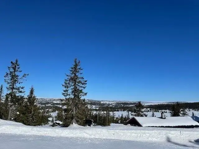 Sjusjøen Hytteutleie AS