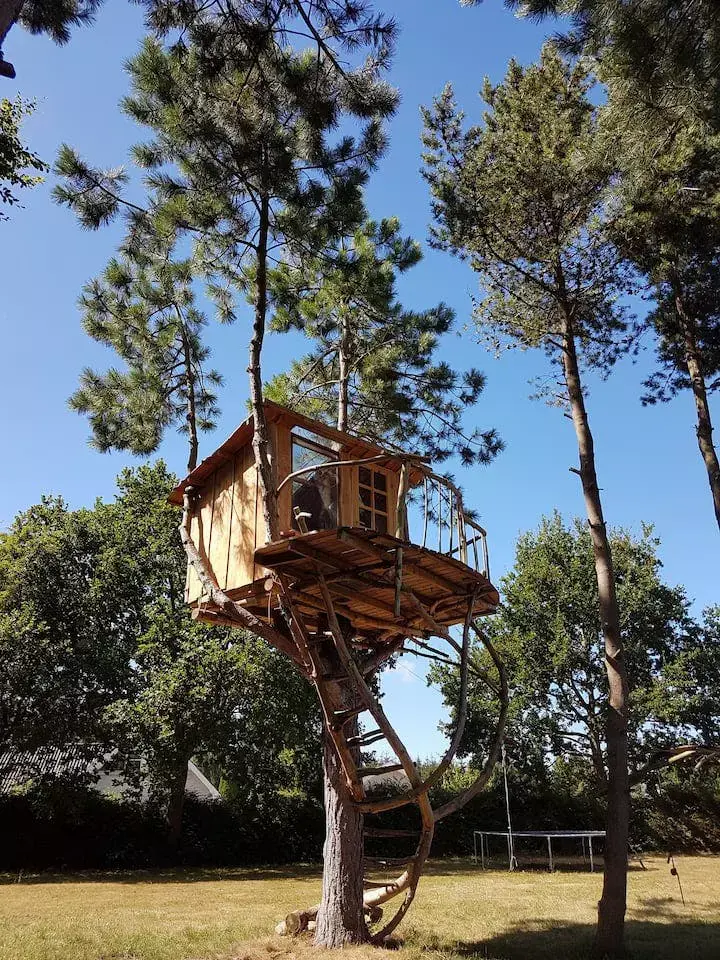 Artistic Treehouse