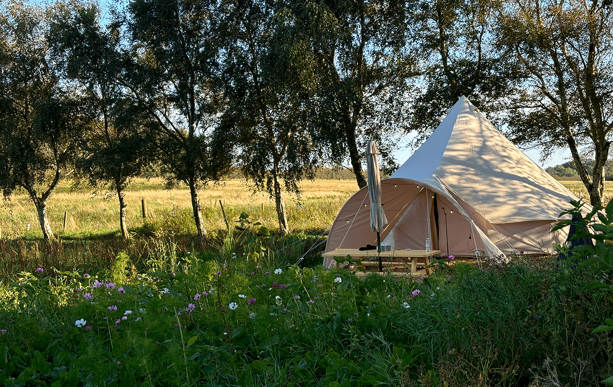 Glamping in Dänemark: die schönsten Orte