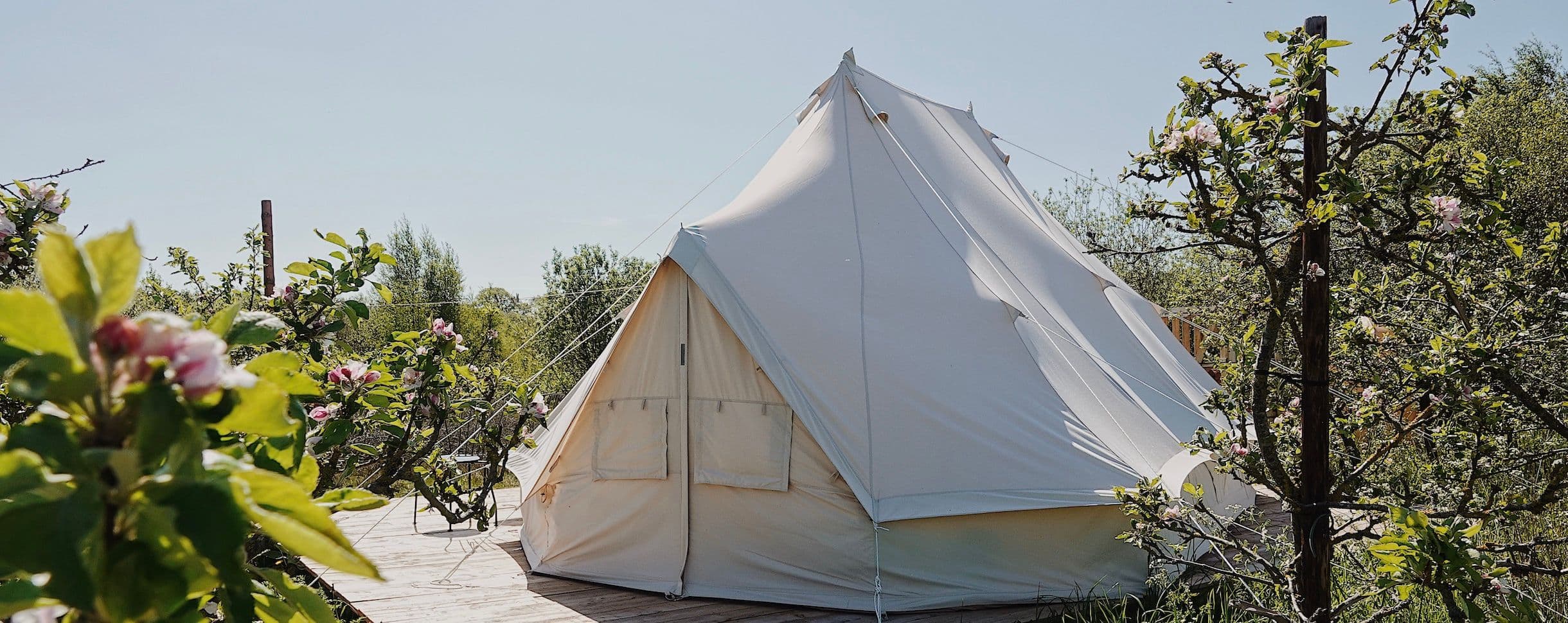 What Is Glamping? Everything You Need to Know