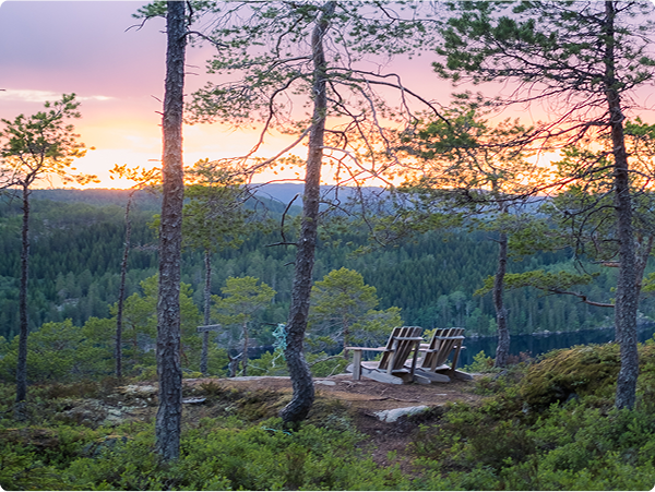Migliora l’esperienza